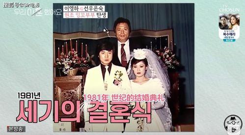 娱乐圈吃瓜小说综艺文