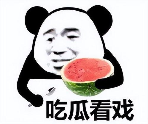 坐等吃瓜表情包